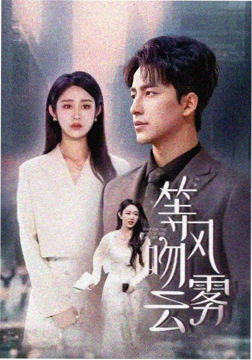 被窝影视刑侦剧无声证词海报